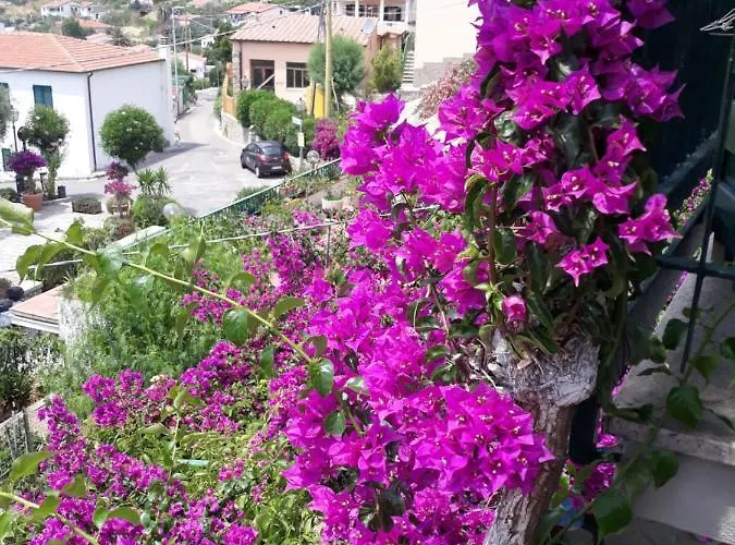 Casa Armida Holiday home *